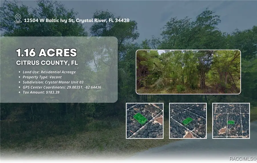 12504 W Baltic Ivy Street, Crystal River, FL 34428 - Image #2