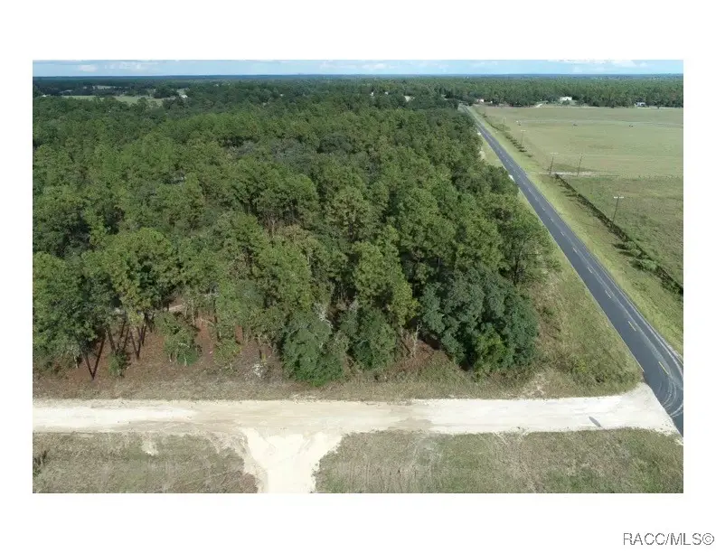 Tbd NE 137th Avenue, Williston, FL 32696 - Image #1