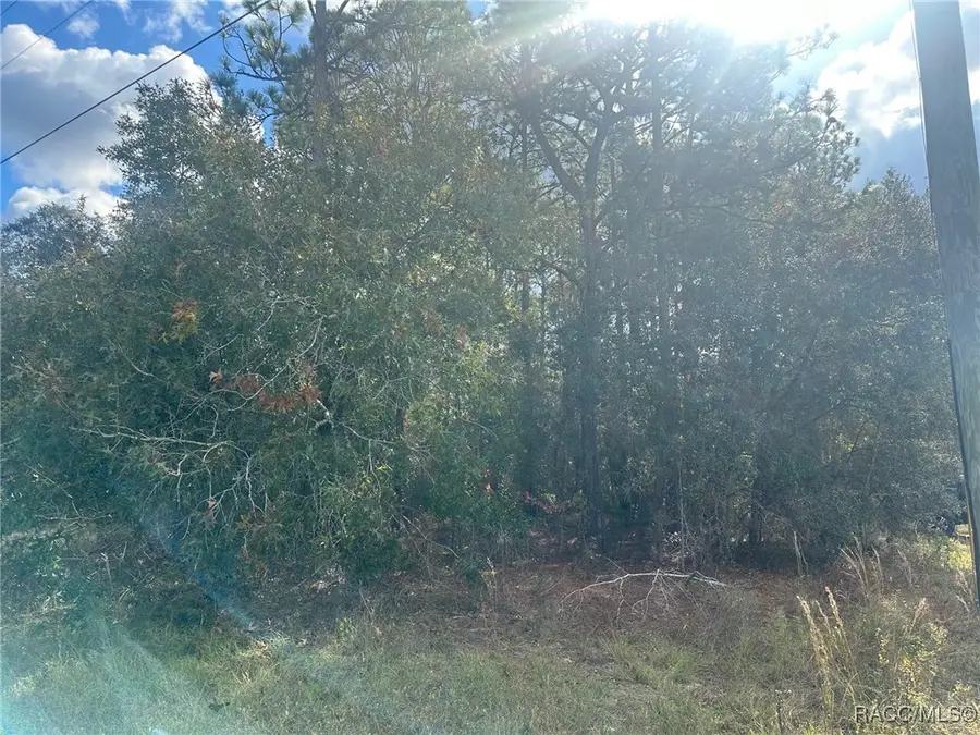 7779 N Cricket Drive, Citrus Springs, FL 34434 - Image #3