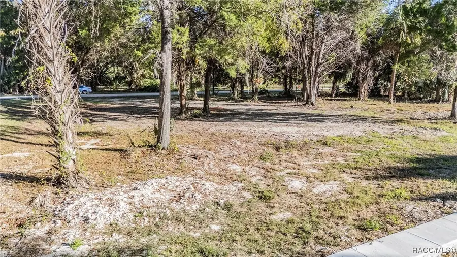 3924 N Apalachee Point, Crystal River, FL 34428 - #3