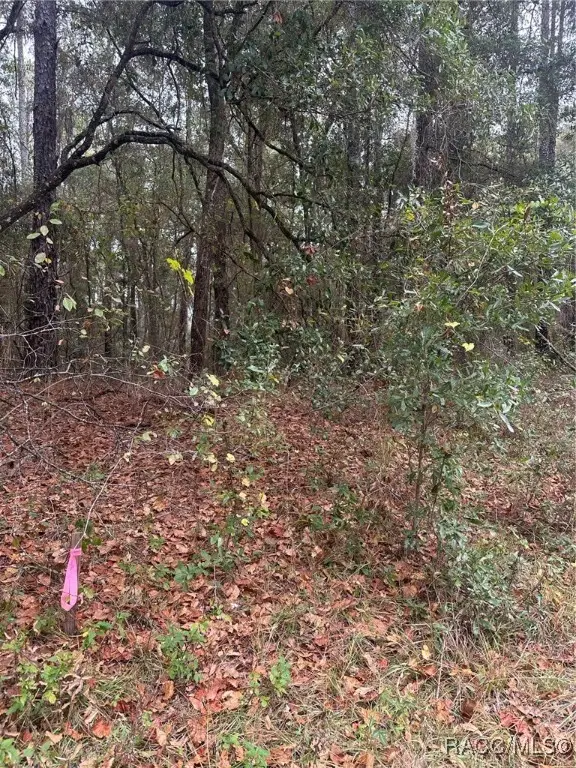 8107 N Floyd Point, Dunnellon, FL 34434 - Image #3