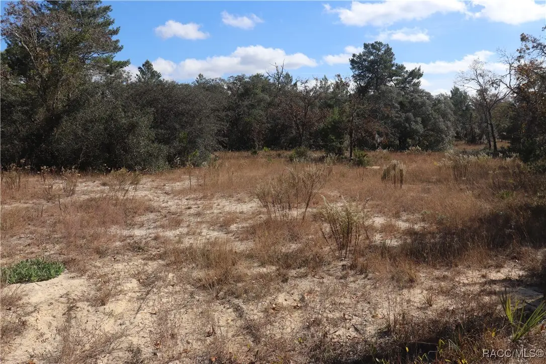 9097 N Peewee Point, Dunnellon, FL 34433 - #1