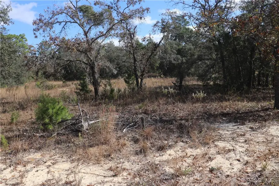 9097 N Peewee Point, Dunnellon, FL 34433 - #2