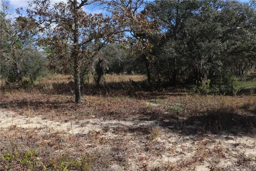 9097 N Peewee Point, Dunnellon, FL 34433 - #3