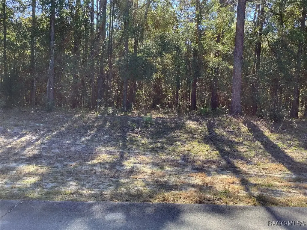 TBD SW 89th Circle, Ocala, FL 34473 - Image #1