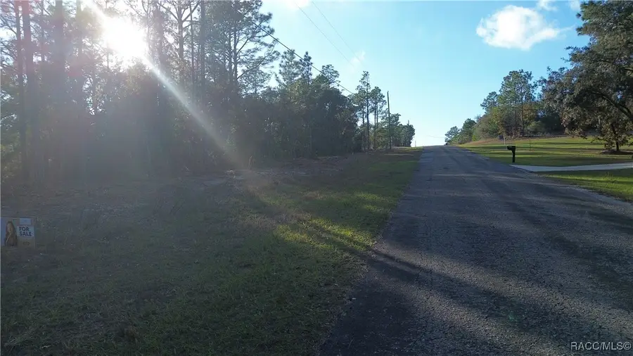 3882 W Fireside Lane, Citrus Springs, FL 34433 - Image #3