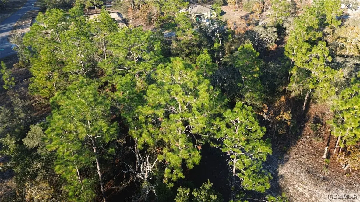 2959 W Admiral Lane, Citrus Springs, FL 34433 - Image #1