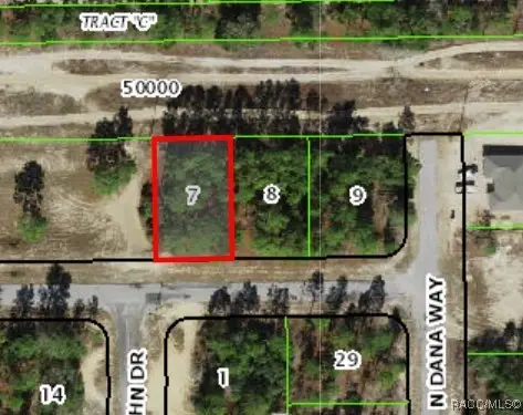 3131 W Wilhelm Street, Citrus Springs, FL 34433 - Image #2