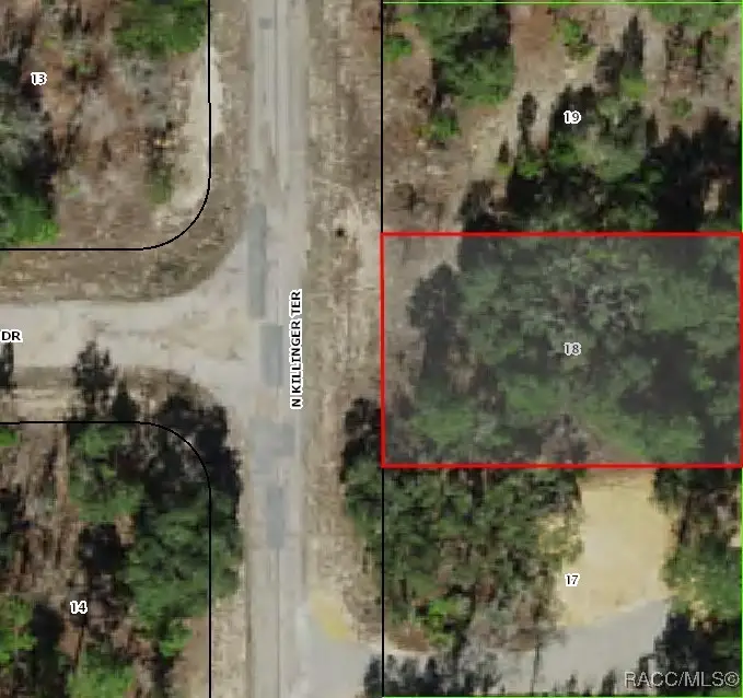 6491 N Killinger Terrace, Citrus Springs, FL 34433 - Image #1