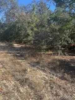 6491 N Killinger Terrace, Citrus Springs, FL 34433 - Image #2