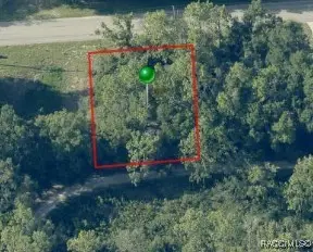 1501 Old Floral City Road, Inverness, FL 34450 - Image #2