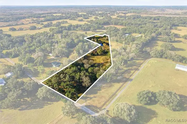 8800 S Steed Terrace, Floral City, FL 34436