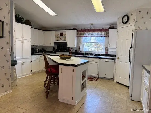 10046 W Montyce Court, Crystal River, FL 34428 - Image #3