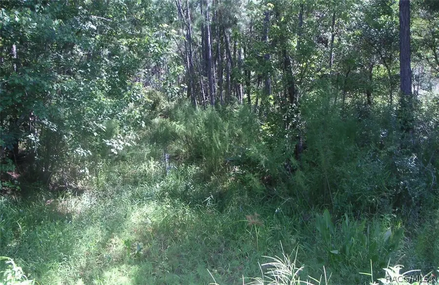 9145 N Evenstock Way, Crystal River, FL 34428 - #3