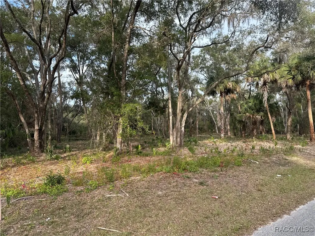 8125 Catrina Lane, Crystal River, FL 34429 - Image #1