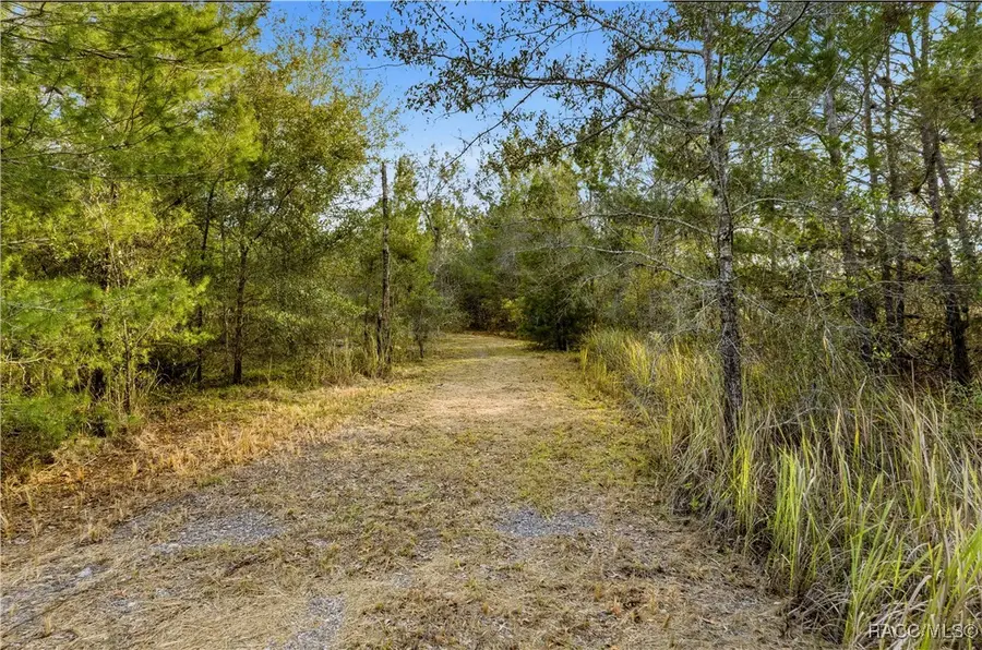 0 Backwoods Way, Brooksville, FL 34613 - #2