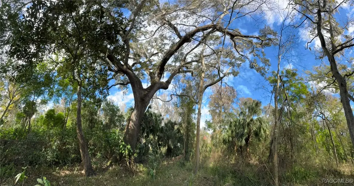 9291 E Riverbluff Court, Inverness, FL 34453 - Image #1