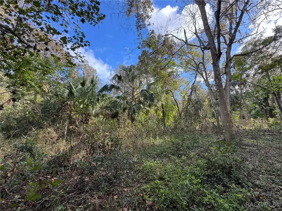 9291 E Riverbluff Court, Inverness, FL 34453 - Image #3