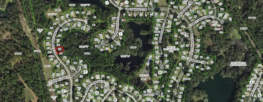 3337 N Canterbury Lake Drive, Hernando, FL 34442 - Image #3