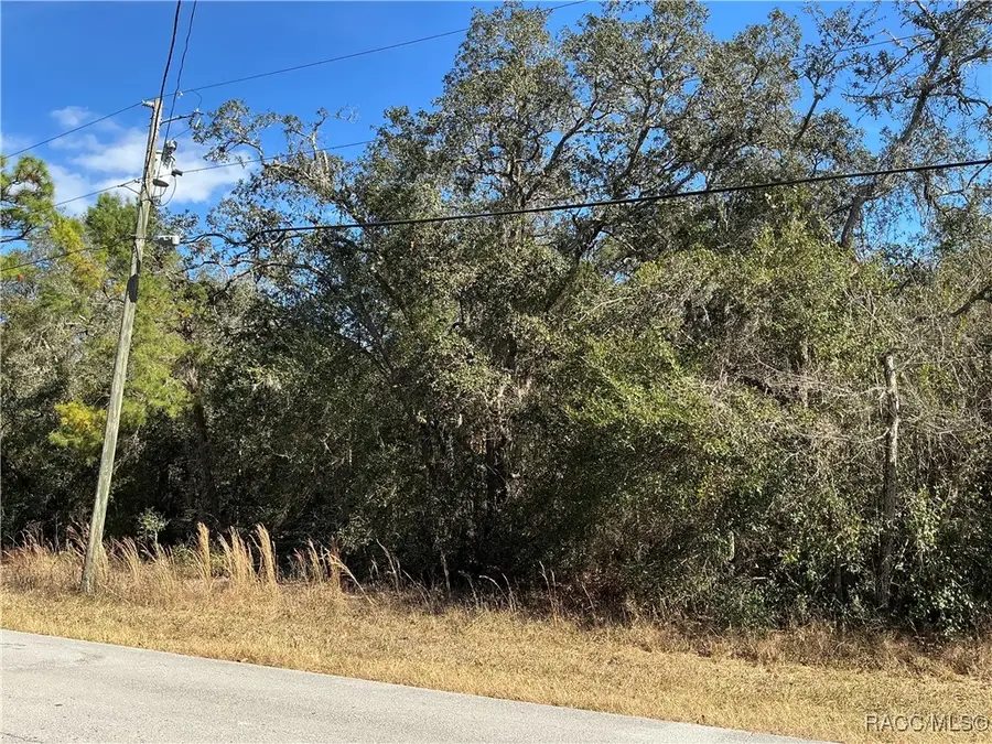 3157 N Hamlin Terrace, Hernando, FL 34442 - Image #2