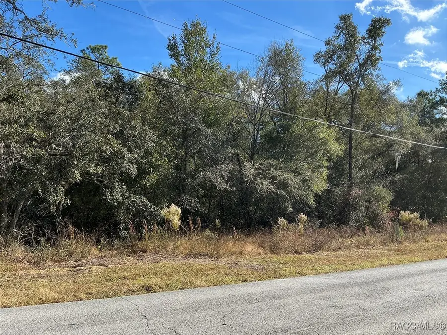 3157 N Hamlin Terrace, Hernando, FL 34442 - Image #3