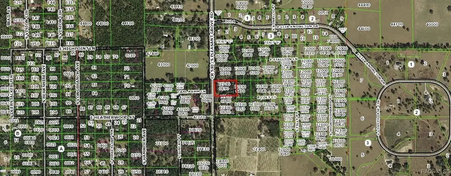 8907 S Pleasant Grove Road, Inverness, FL 34452 - Image #3
