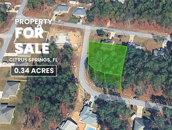 1263 W Fan Drive, Citrus Springs, FL 34434