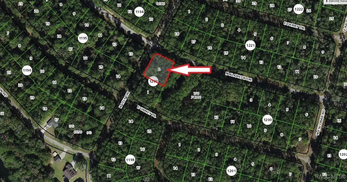 8426 N Alameda Drive, Citrus Springs, FL 34434 - Image #1