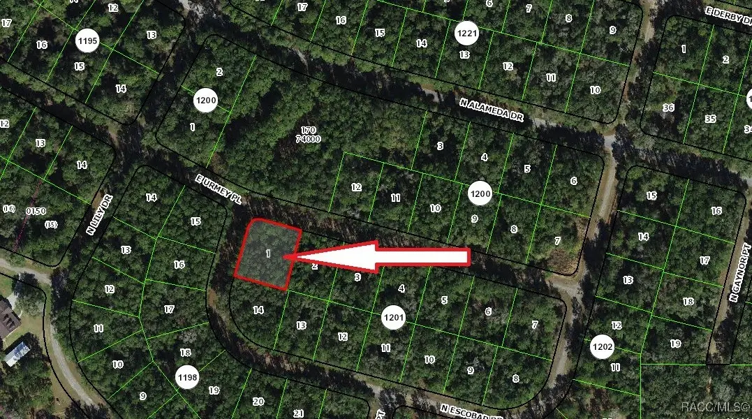 1296 E Urmey Place, Citrus Springs, FL 34434 - Image #1