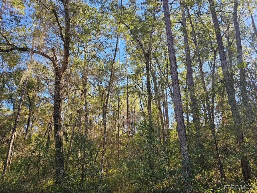 6342 E Glover Street, Inverness, FL 34452 - Image #3