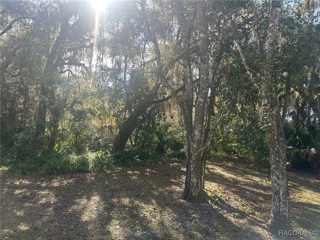 3100 N Edwards Island, Hernando, FL 34442 - Image #1