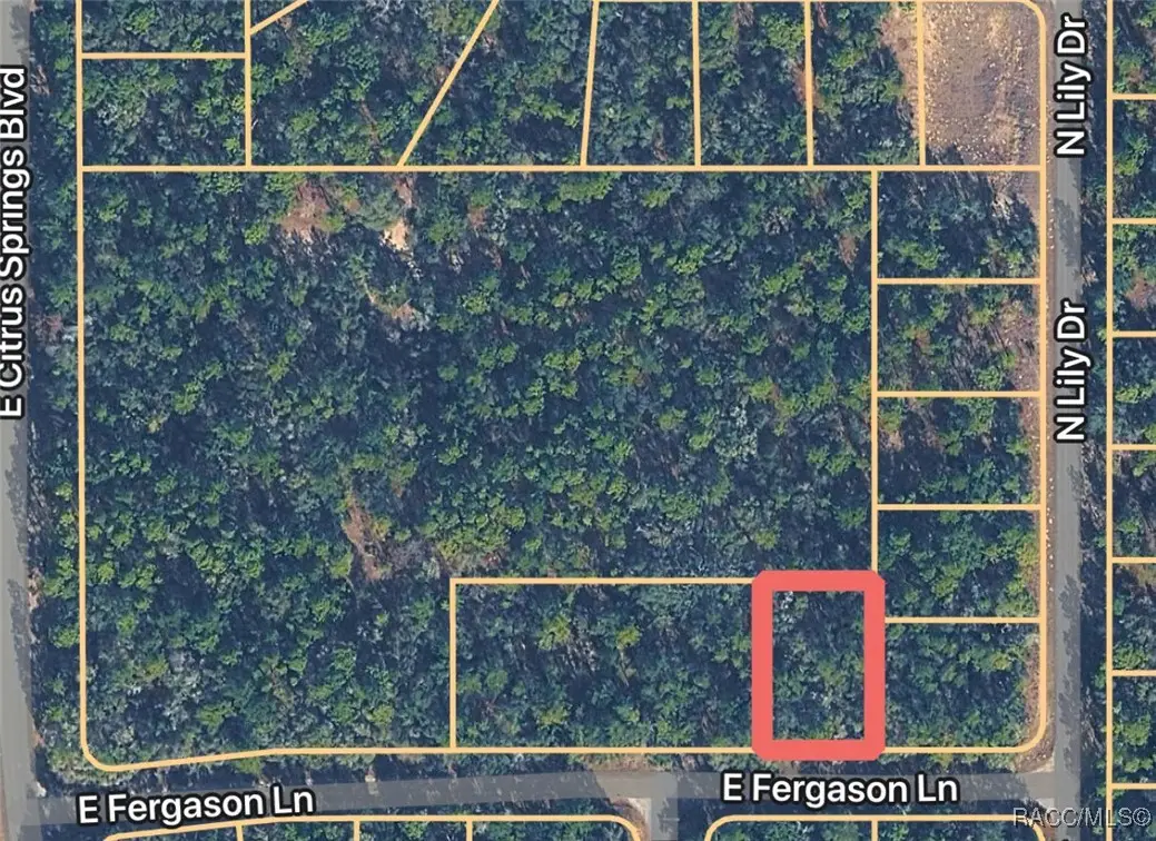 1409 E Fergason Lane, Citrus Springs, FL 34434 - #1