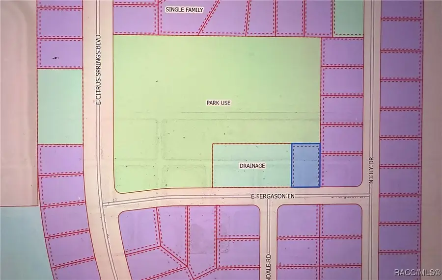1409 E Fergason Lane, Citrus Springs, FL 34434 - #3