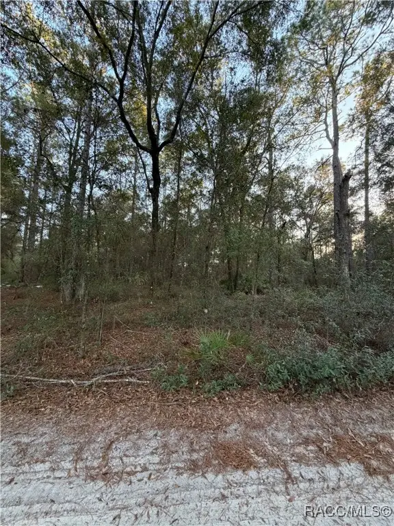 TBD SW 150th Street, Dunnellon, FL 34432