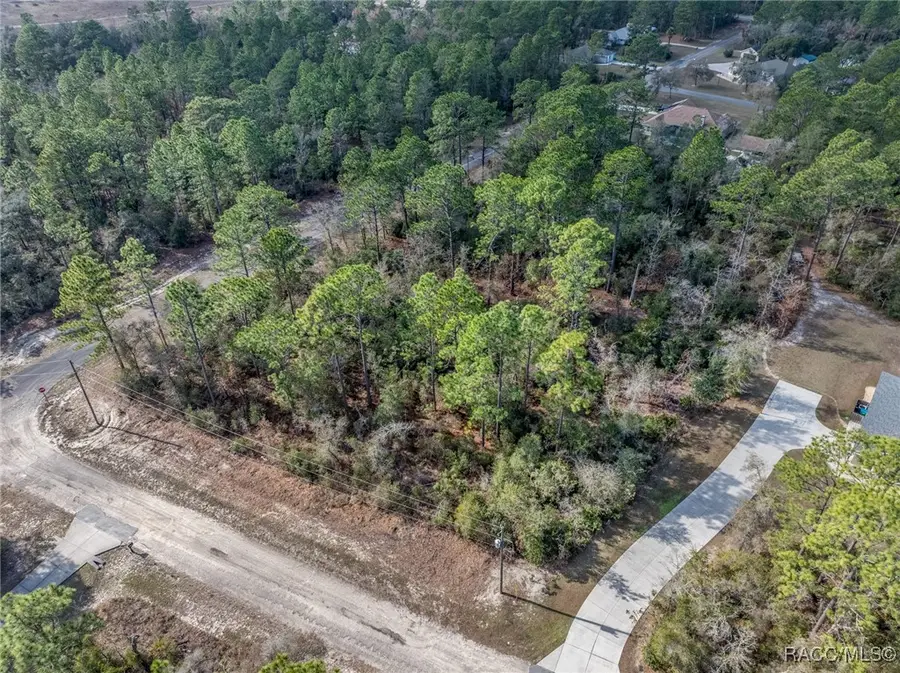 7082 N Treehaven Terrace, Dunnellon, FL 34433 - #2