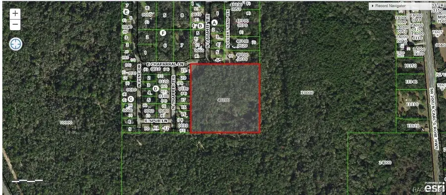 4337 N Desertsand Terrace, Hernando, FL 34442 - Image #2