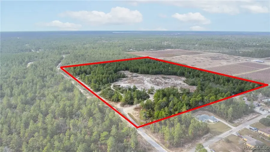 4521 W Gallagher Street, Citrus Springs, FL 34433 - Image #3