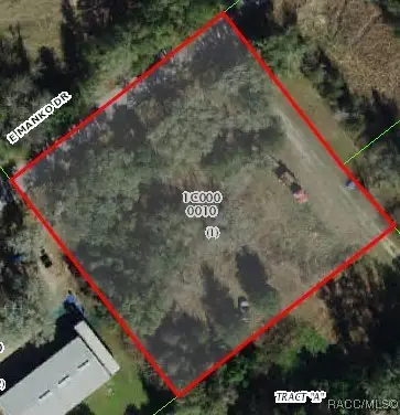 1728 E Manko Drive, Hernando, FL 34442