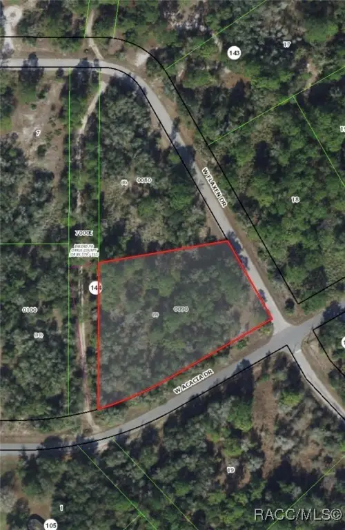 11976 W Flaxen Drive, Crystal River, FL 34428 - Image #1