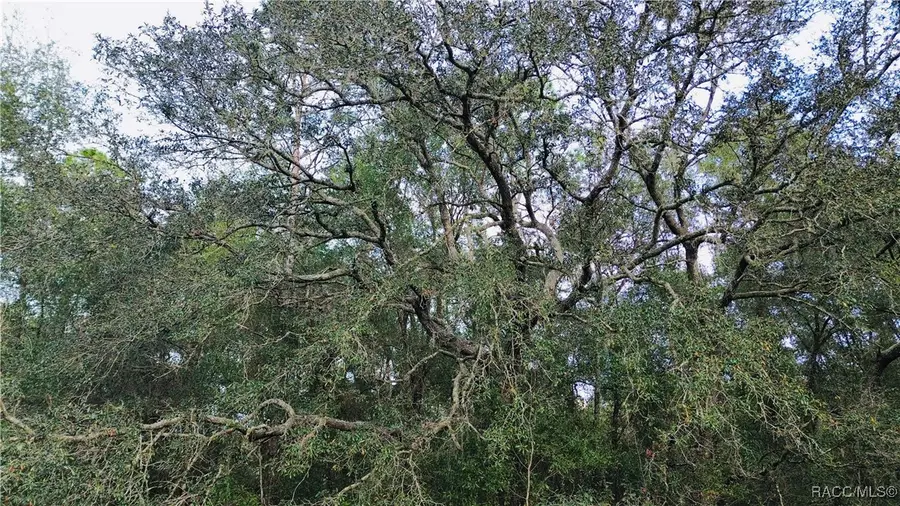 10693 N Allwood Terrace, Citrus Springs, FL 34434 - Image #3