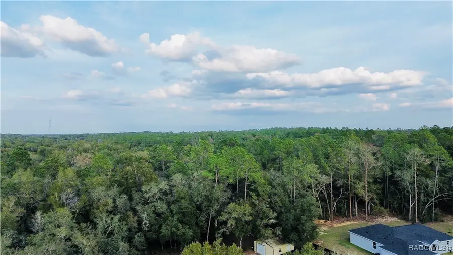 10699 N Academy Drive, Citrus Springs, FL 34434 - Image #3