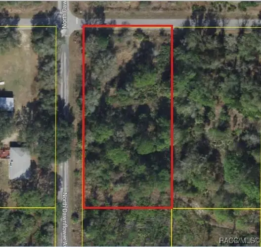 11798 W Cornflower Drive, Crystal River, FL 34428