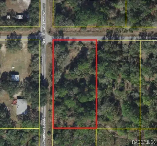 11798 W Cornflower Drive, Crystal River, FL 34428 - Image #2