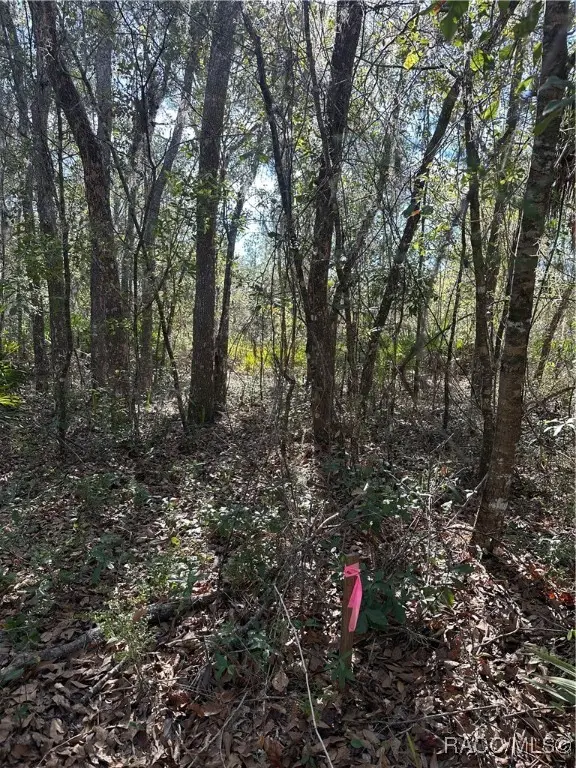 11716 W Caladium Street, Crystal River, FL 34428