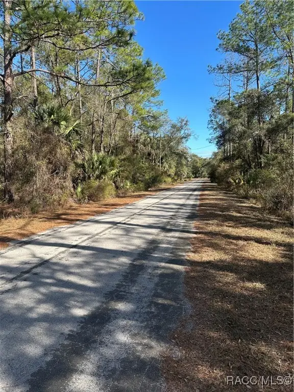 11716 W Caladium Street, Crystal River, FL 34428 - Image #3