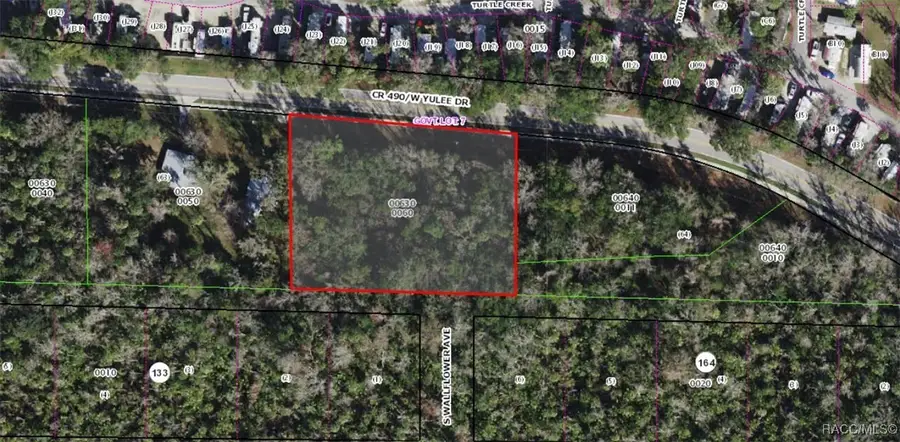 10138 W Yulee Drive, Homosassa, FL 34448 - Image #2