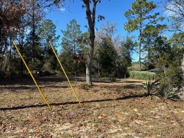 8010 N Oxford Terrace, Citrus Springs, FL 34433 - Image #2