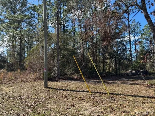 8010 N Oxford Terrace, Citrus Springs, FL 34433 - Image #3