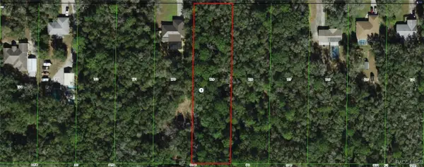1142 E Bismark Street, Hernando, FL 34442