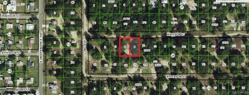 2513 Madison Street, Inverness, FL 34453 - Image #1